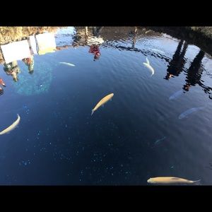 Meet your Posher, Teresa